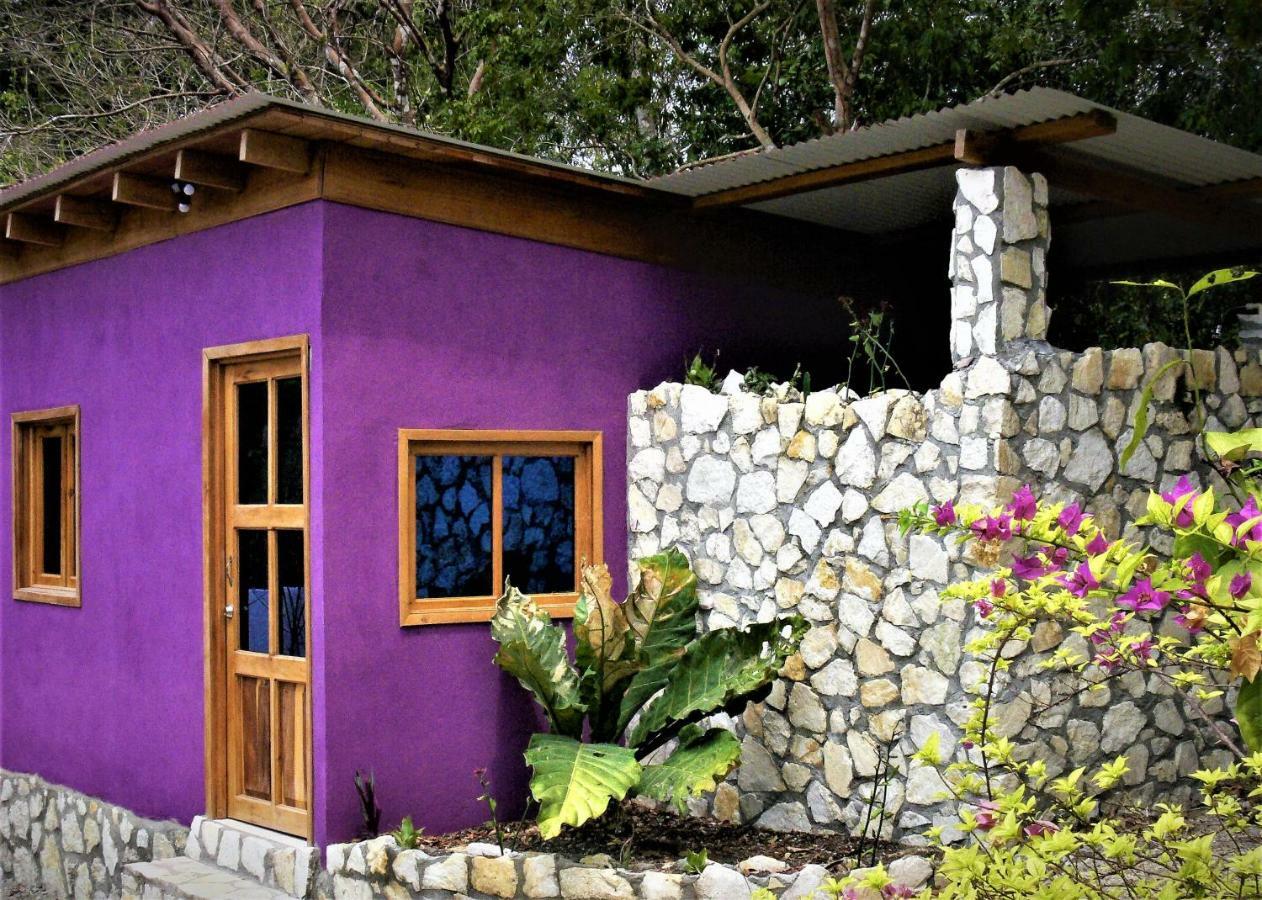 Alice Guesthouse El Remate Eksteriør bilde